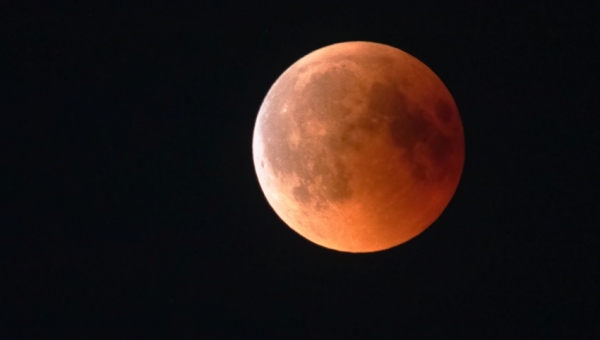 Conoce las claves para observar el último eclipse lunar de 2021